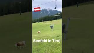 Seefeld in Tirol [upl. by Shifra]