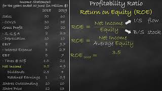 Profitability Ratio  Return on Equity [upl. by Aihsal]