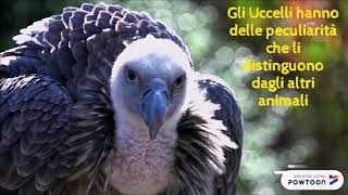 GLI UCCELLI  Maestra Katia LP [upl. by Ellatnahc15]