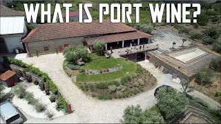 Tasting Port Wines in The Douro Valley Region Portugal [upl. by Borer195]