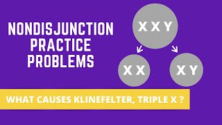 NONDISJUNCTION PRACTICE PROBLEMS KLINEFELTER SYNDROME TRIPLE X SYNDROME [upl. by Salhcin619]