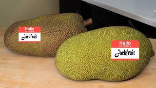 What is a Jackfruit [upl. by Lotti]