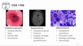 HIV Clinical Disease and Opportunistic Infections [upl. by Ayyidas]