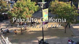 Finlandia Flash Mob  Palo Alto California [upl. by Neersin]