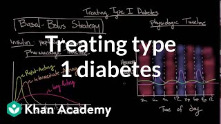 Treating type I diabetes  Endocrine system diseases  NCLEXRN  Khan Academy [upl. by Anha]