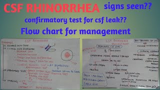 CSF Rhinorrhea [upl. by Shult717]