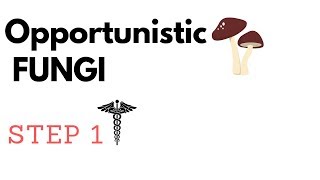 Opportunistic Fungi  Aspergillus Mucormycosis P jirovecii Candida amp Cryptococcus STEP1 [upl. by Conlin334]