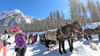 The hidden valley Alta Badia a ski run ending with a horse tow [upl. by Nuoras]