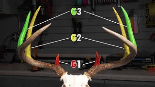 How To Score A Deer [upl. by Nikkie]