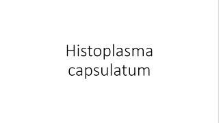 Histoplasma capsulatum  Microbiology [upl. by Seni]