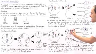 Aneuploidy and Nondisjunction Part II [upl. by Catlaina]