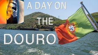 A Cruise On The Douro River Portugal Pinhão DOC Restaurant amp Wine Tasting [upl. by Prentiss]