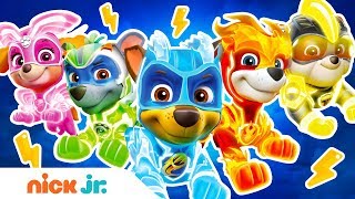 Skye Meets the Mighty Twins and MORE  PAW Patrol  Cartoons for Kids [upl. by Bibah715]