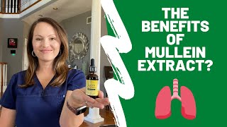 The Benefits Of Mullein Extract [upl. by Adyht]