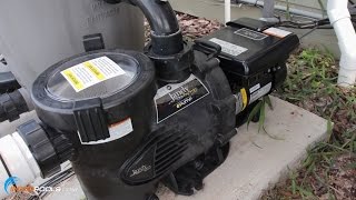 How To Size A Pool Pump [upl. by Unders]