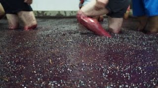 Making Port Wine in Portugals Douro Valley [upl. by Joycelin]