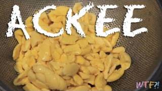 What is Ackee  Vegan Scrambled Ackee Eggs Recipe [upl. by Audri]