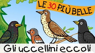 Gli uccellini eccoli  Canzoni per bambini [upl. by Ynnal793]