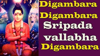 Digambara Digambara Sripada sri Vallabh Digambara MEDITATION mantra digambara mantra for positive [upl. by Eitsyrk687]