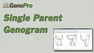 Single Parent Genogram in GenoPro [upl. by Kciredor]