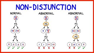 Chromosomal Abnormalities Aneuploidy and NonDisjunction [upl. by Gauntlett]