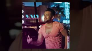 Valy  Dokhtareh Ziba OFFICIAL TRACK [upl. by Haneehs]