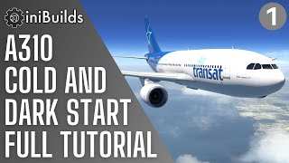 iniBuilds A310 Cold and Dark Startup Tutorial  XPlane 11 [upl. by Ellimahs]