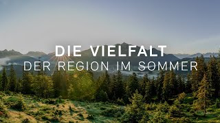 Die Vielfalt der Region Seefeld im Sommer [upl. by Leidag]