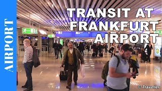 TRANSIT WALK AT FRANKFURT Airport FRA Terminal 1  Connection Flight Transfer Arriving amp Departing [upl. by Ynna425]