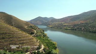 La vallée du Douro  Échappées belles Portugal [upl. by Ahsinot]